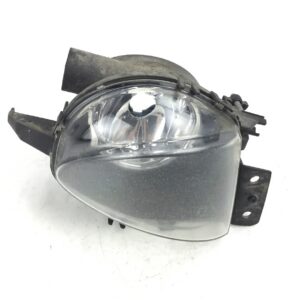 Mistlamp rechts