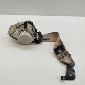 Bovengordel achter links OYSTER kleur F11