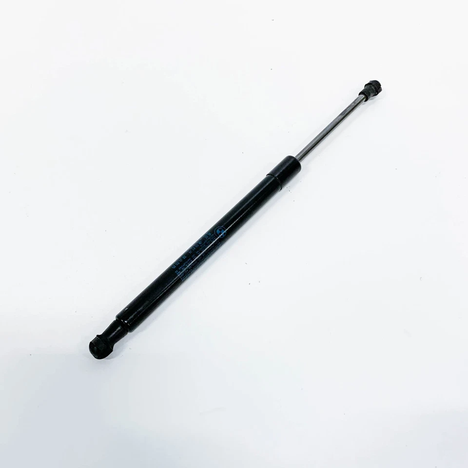 7304556