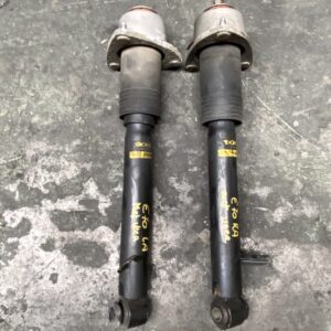 schokdempers voor veren achter X5-E70