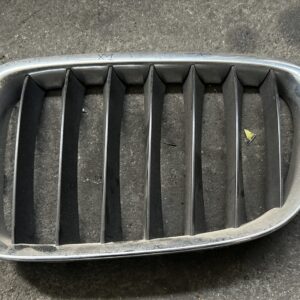 Gril voor links Nier links X1-E84