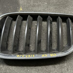 Gril voor links X5-E53. LCI