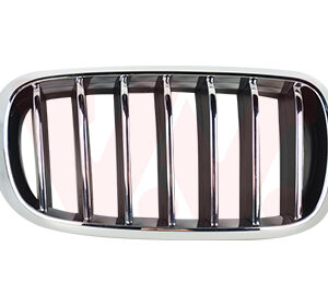 GRILLE R. SIERROOSTER